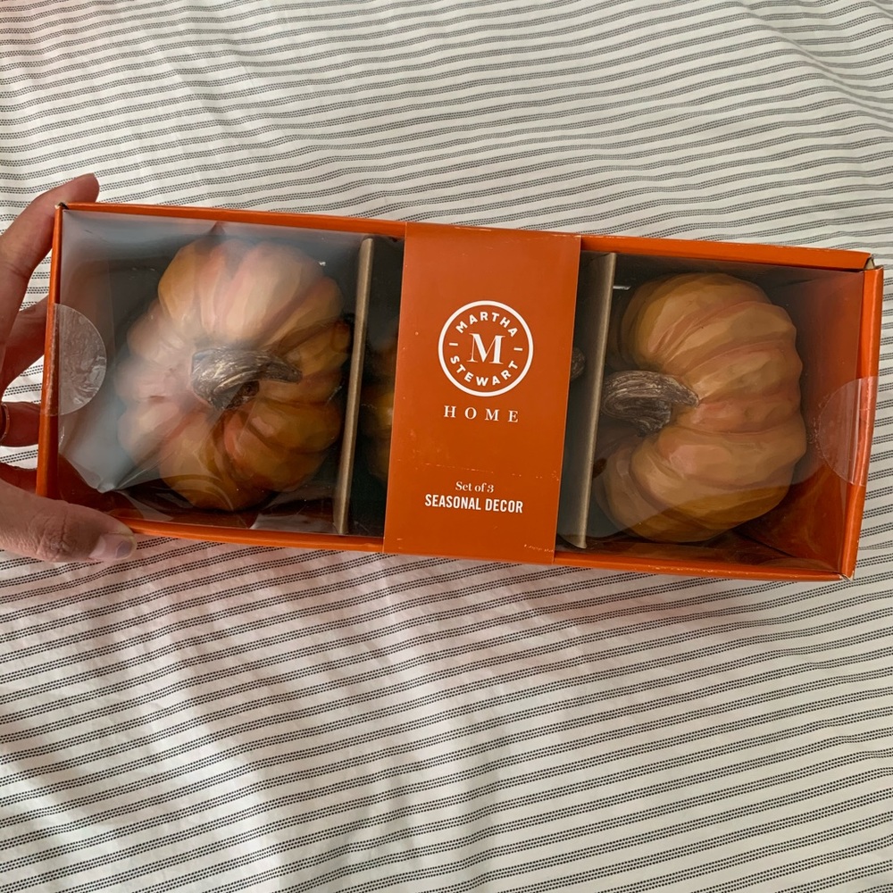 Martha Stewart set of 3 Pumpkins Accent fall decor